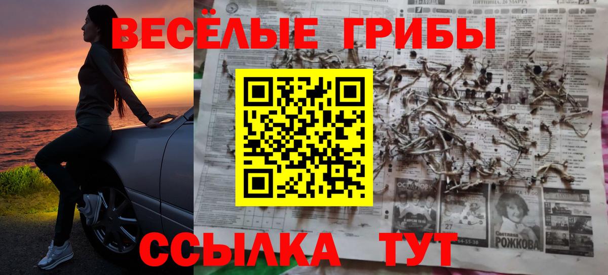 Псилоцибиновые грибы GOLDEN TEACHER Электрогорск